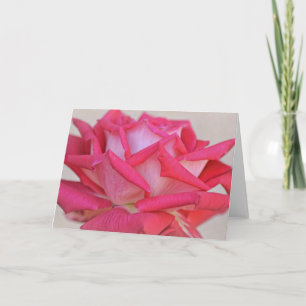 Carte d'art photographique rose jolie