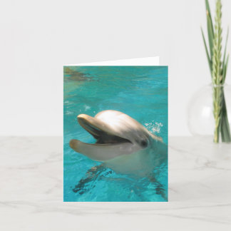 Carte Dauphin souriant
