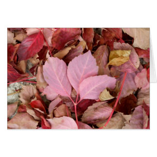 Carte d'automne