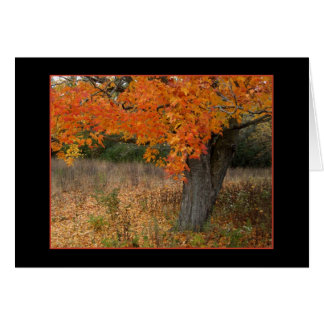 Carte d'automne nostalgique ambre