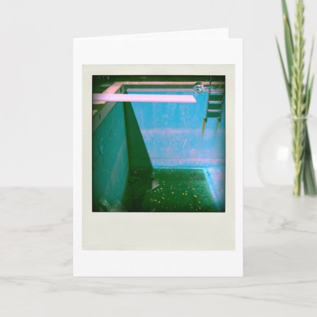 Carte David's Pool 09g05 variation1 3d Computer Art card (Devant)