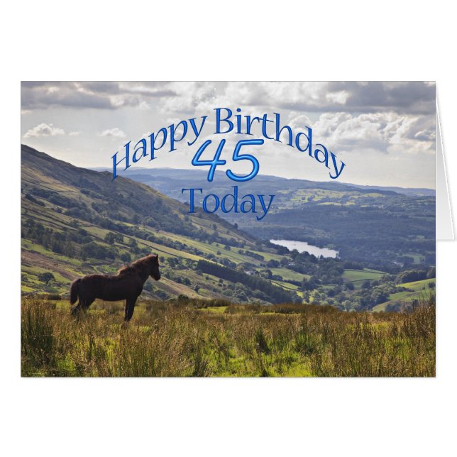 Carte de 45e anniversaire pour le cheval et le pay (Devant horizontal)