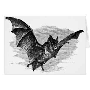Carte de batte