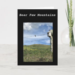 Carte de Bear Paw Mountains