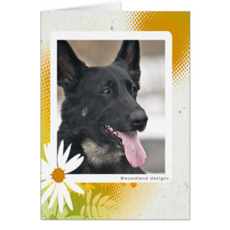 Carte de berger allemand