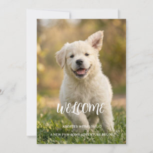 Carte de bienvenue pour chiot Golden Retriever ado