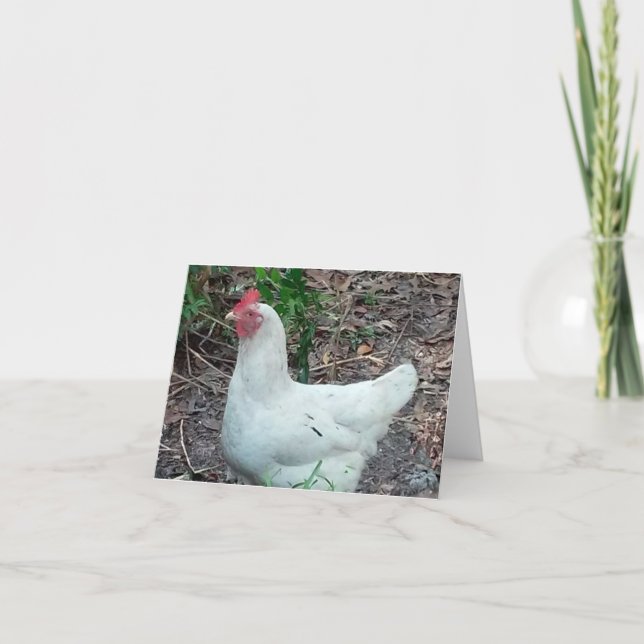 Carte de billet pliée photo de poulet blanc (Devant)