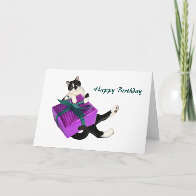 Carte de Black and White Cat (Devant)