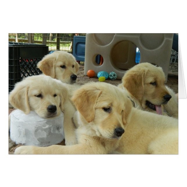 Carte de bloc de glace (Devant horizontal)