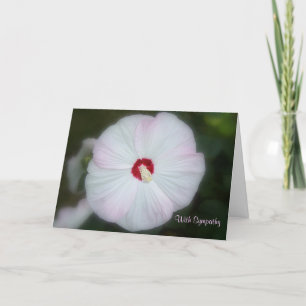 Carte de Blush Hibiscus