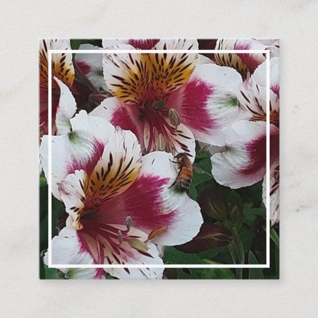 Carte de boîtier abeille et alstromerias (Devant)