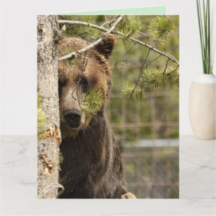 CARTE DE BON ANNIVERSAIRE OURS BRUN GÉANTE