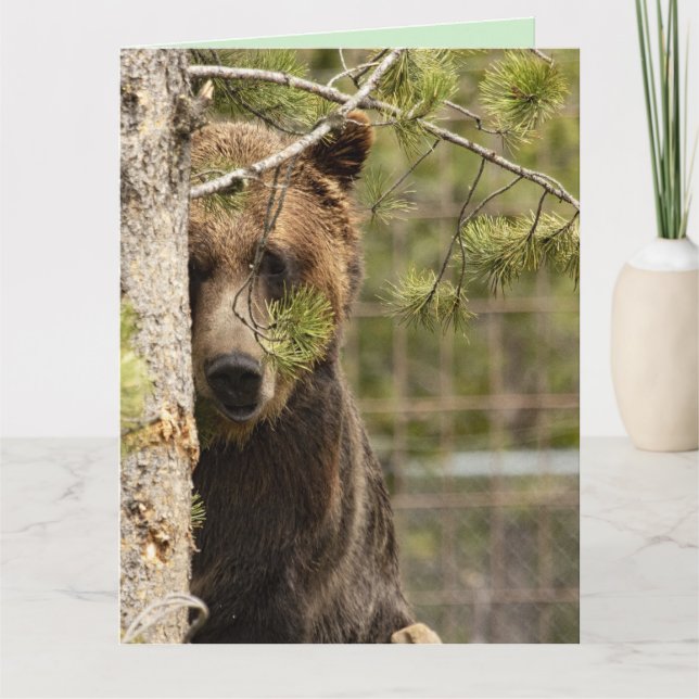 CARTE DE BON ANNIVERSAIRE OURS BRUN GÉANTE (Devant)