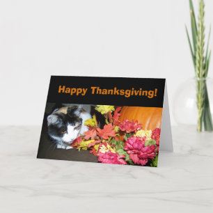Carte de bon thanksgiving de chat de calicot