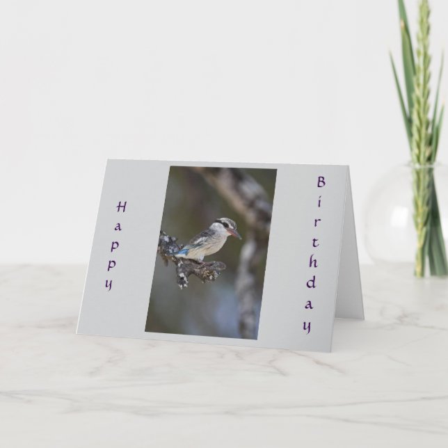 CARTE DE BONNE FÊTE "ANNIVERSAIRE PARTAGÉ" (Devant)