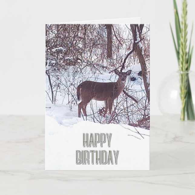 Carte de bonne fête de naissance de cerf de photo  (Devant)