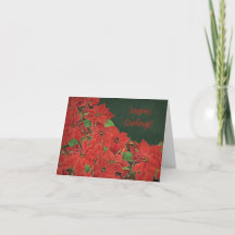 Carte de Bonnes Fêtes Red Poinsettia