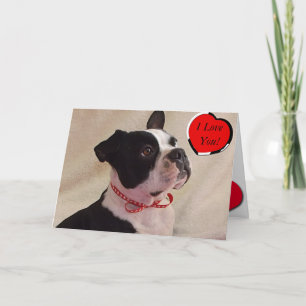 Carte de Boston Terrier Valentine