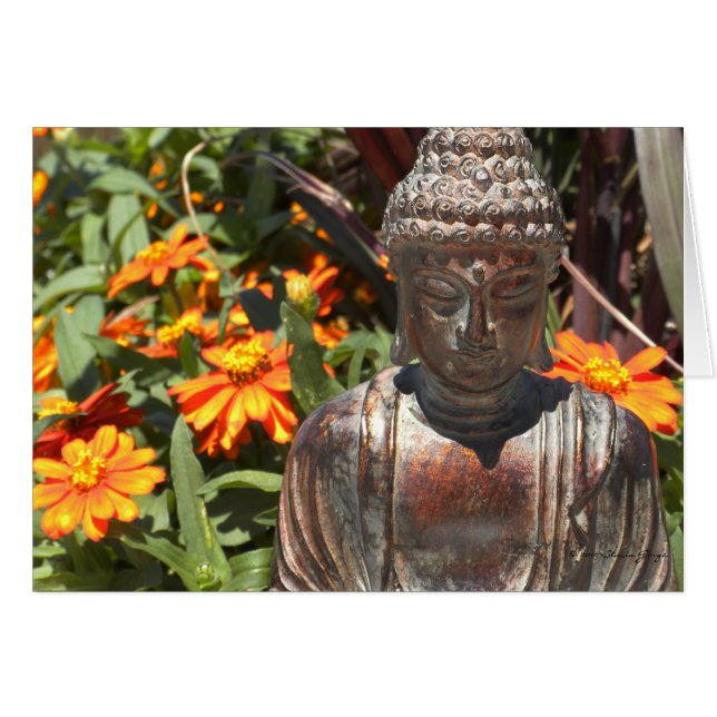 Carte de Bouddha de Zinnia (Devant horizontal)