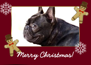 Cartes Bouledogue Francais Pour Noel Zazzle Fr Cartes Bouledogue Francais Pour Noel Zazzle Fr