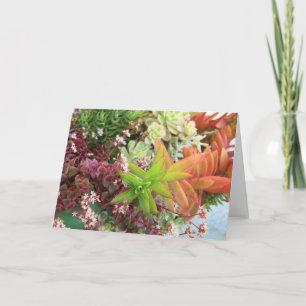 Carte de bouquet succulente