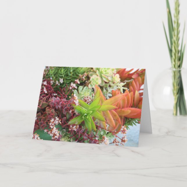 Carte de bouquet succulente (Devant)