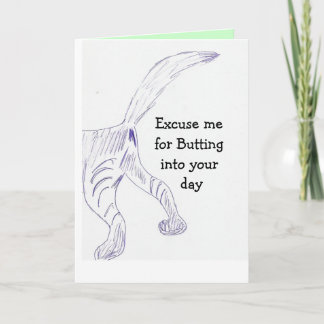 carte de bout de chat