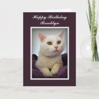 Carte de Brooklyn Joyeux Anniversaire Chat Blanc