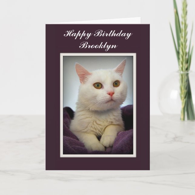 Carte de Brooklyn Joyeux Anniversaire Chat Blanc (Devant)