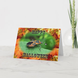 Carte de bug pour aînés de la boîte d'Halloween