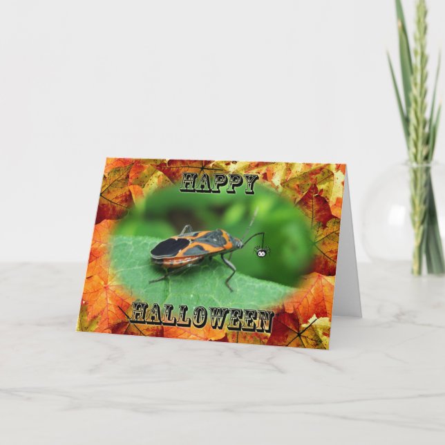 Carte de bug pour aînés de la boîte d'Halloween (Devant)