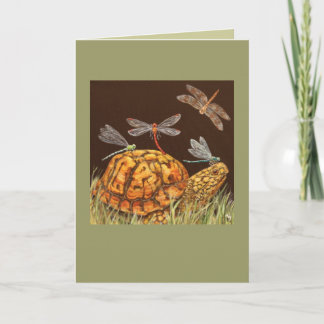 Carte de bus Turtle School