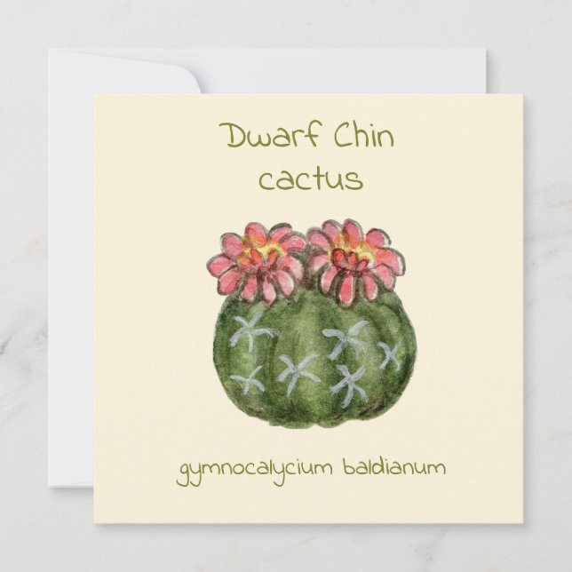 carte de cactus chin nain (Devant)
