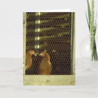 Carte de cage de poulet