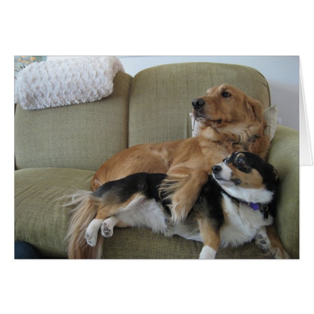 Carte de câlins de chiens Retriever doré mignon Co (Devant horizontal)