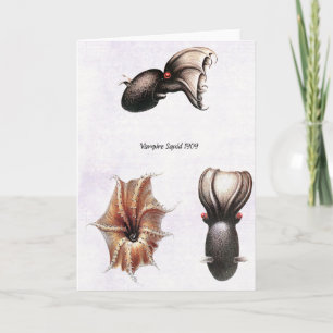 Carte de calmar de vampire