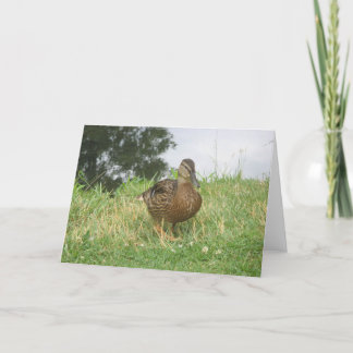 Carte de canard à mâchoires pour femmes