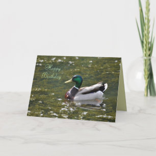 Carte de canard de Mallard de joyeux anniversaire