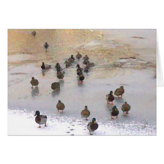 Carte de canard d'hiver