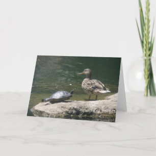 Carte de canard Hello