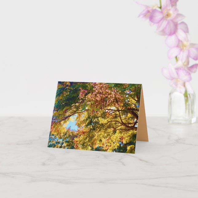 Carte de Canopée d'Automne  (Orchidée)