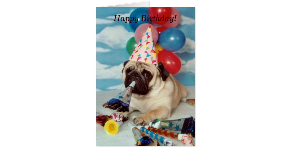  Carte  de carlin  de joyeux anniversaire  Zazzle fr