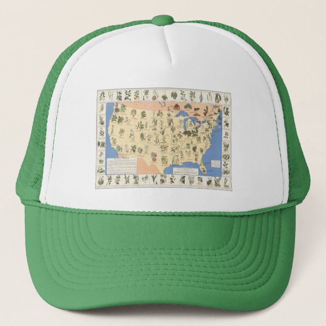 Carte de casquette de fines herbes de remèdes (Devant)