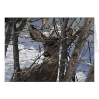 Carte de cerf