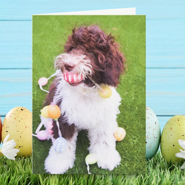 Carte de chasse aux œufs de Pâques Labradoodle mig (Créateur téléchargé)