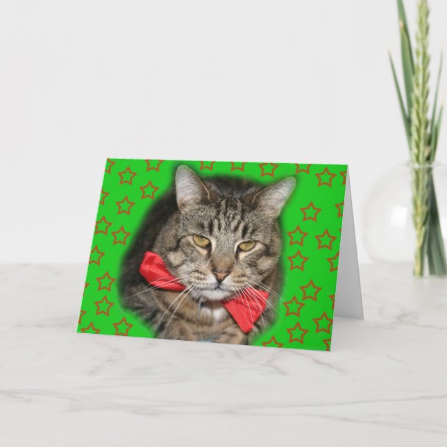 carte de chat (Devant)