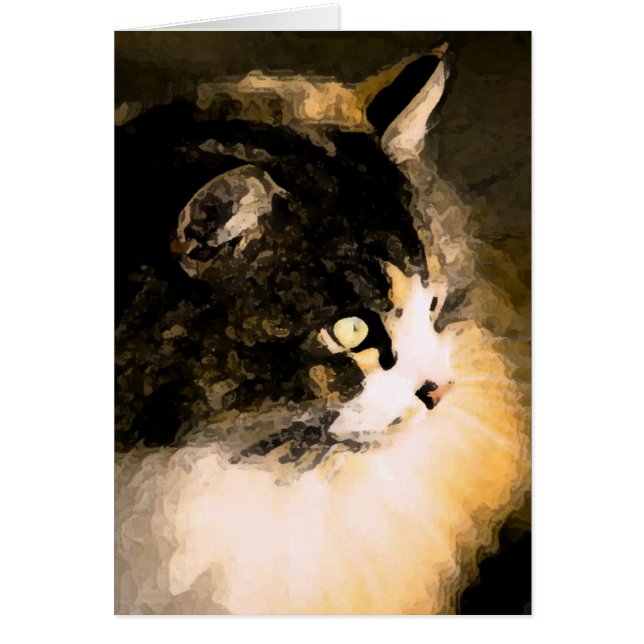 Carte de chat (Devant)