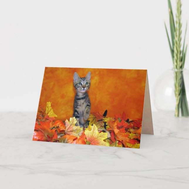 Carte de chat / chaton de l'automne de Willow (Devant)