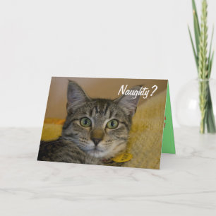 Carte de chat coquine ou Nice