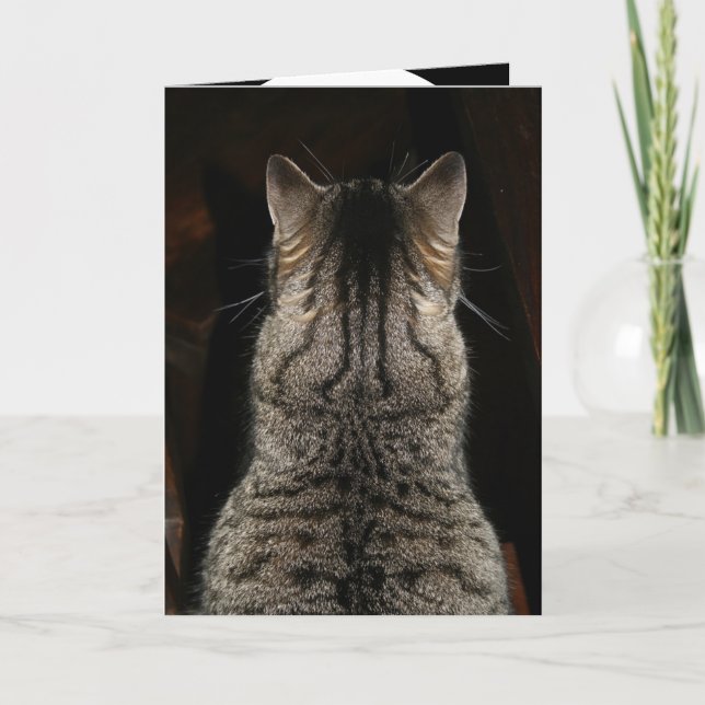 Carte de chat criant "SURPRISE ! JOYEUX ANNIVERSAI (Devant)